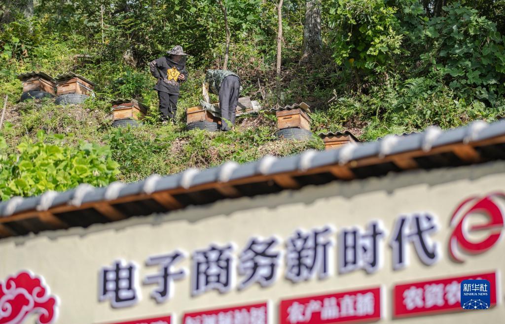 大奖网票官方网站